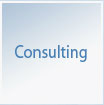 Consulting