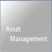 Asset